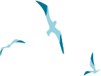 鳥