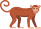 猴子